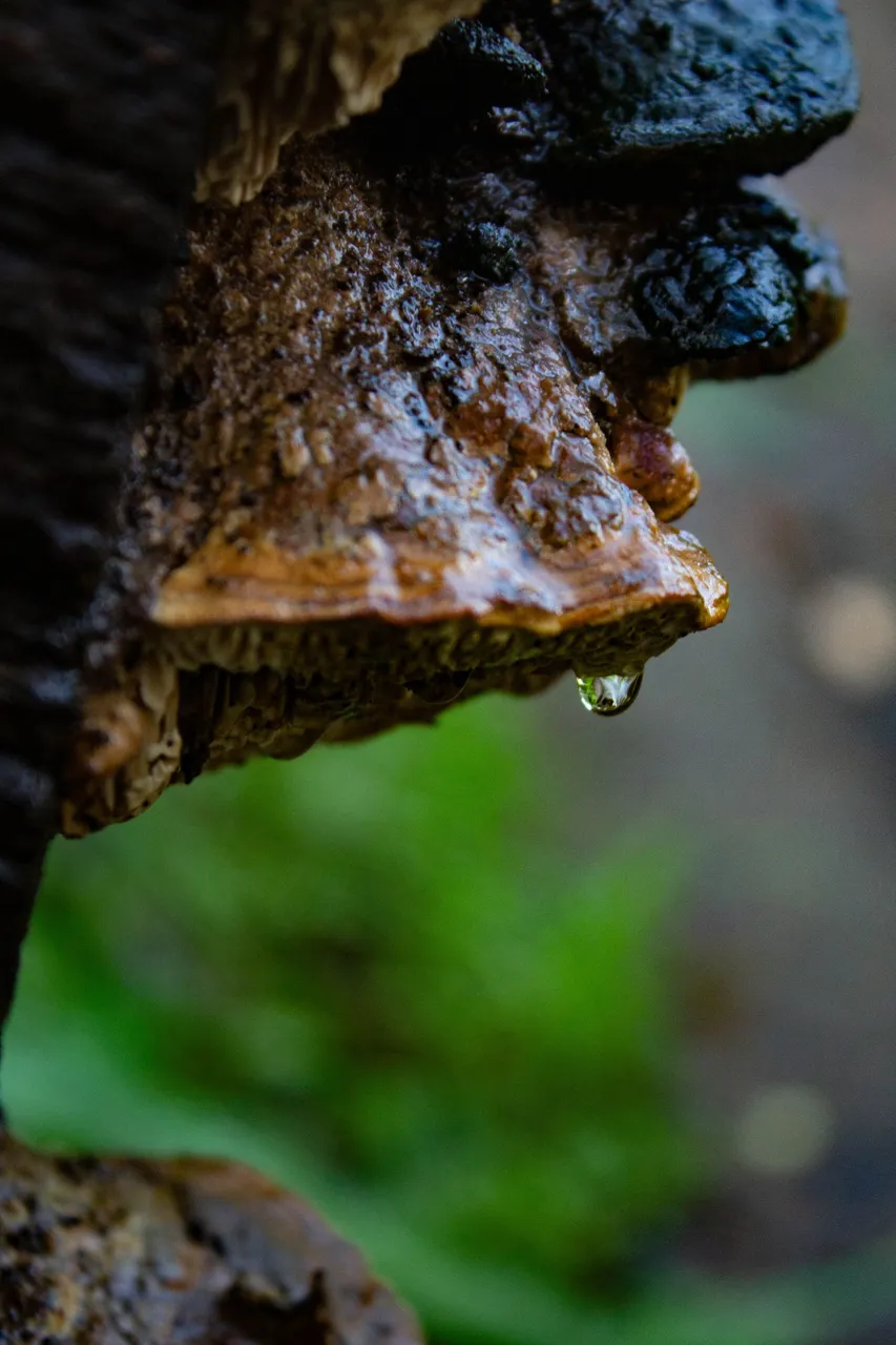A gap between the clouds (93 of 114).jpg