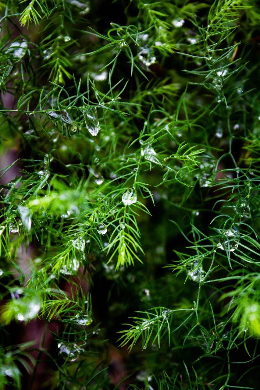 A gap between the clouds (41 of 114).jpg