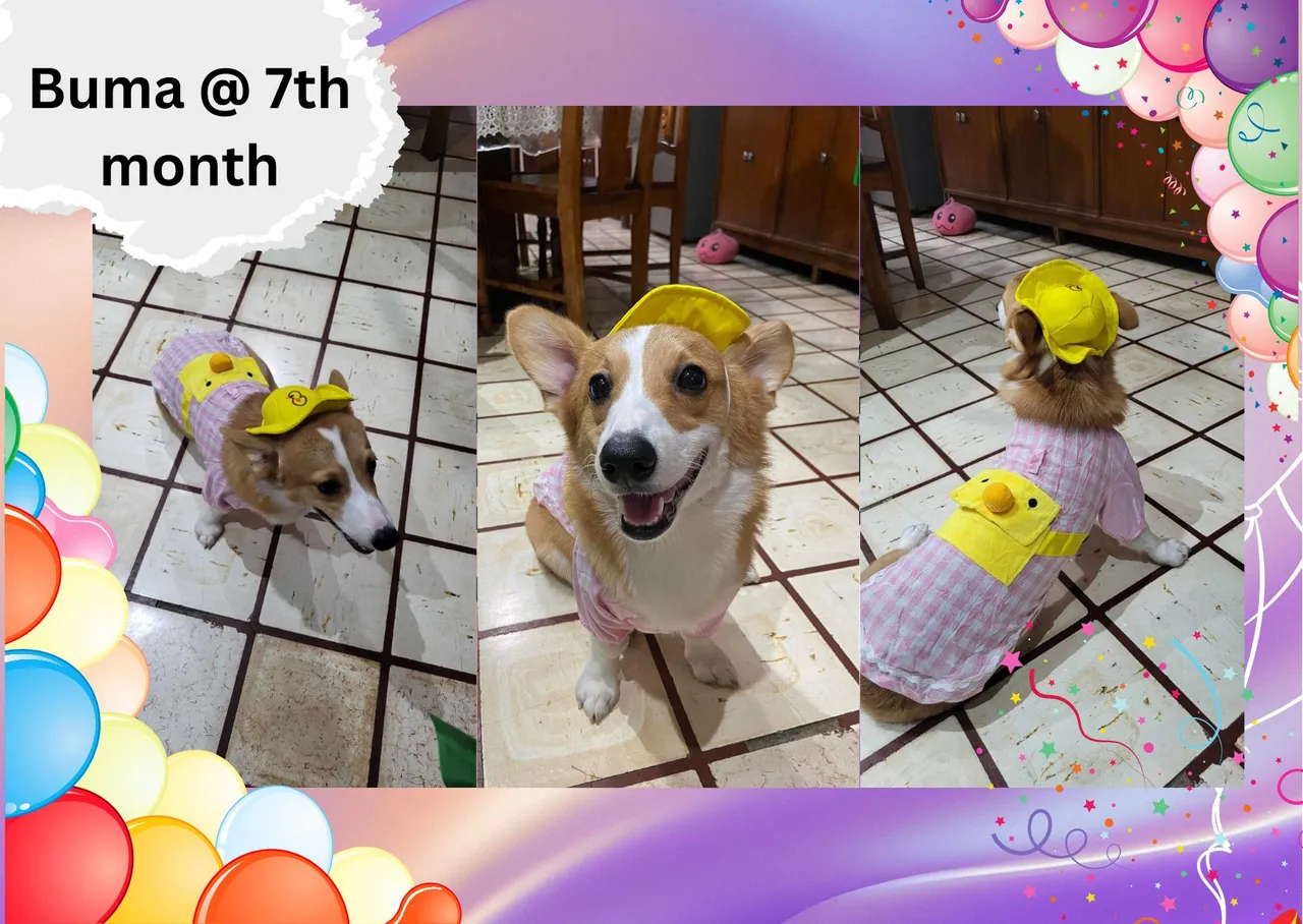 Buma @ 7th month.jpg