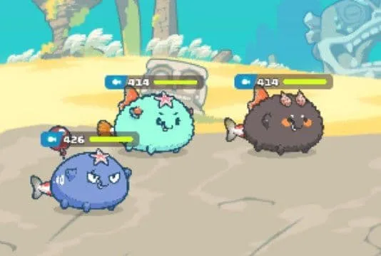 equipo.jpg