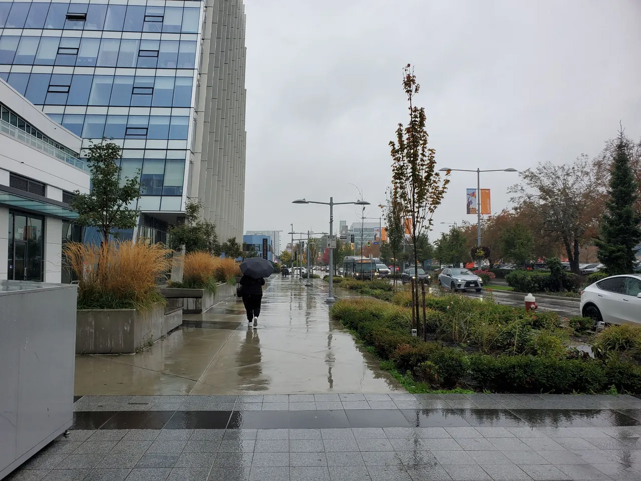 20231002_142208.jpg