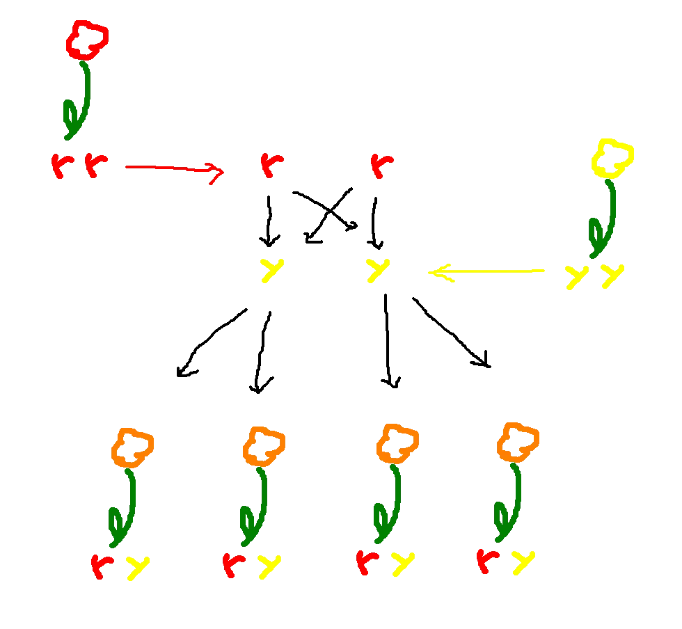 flower3.png