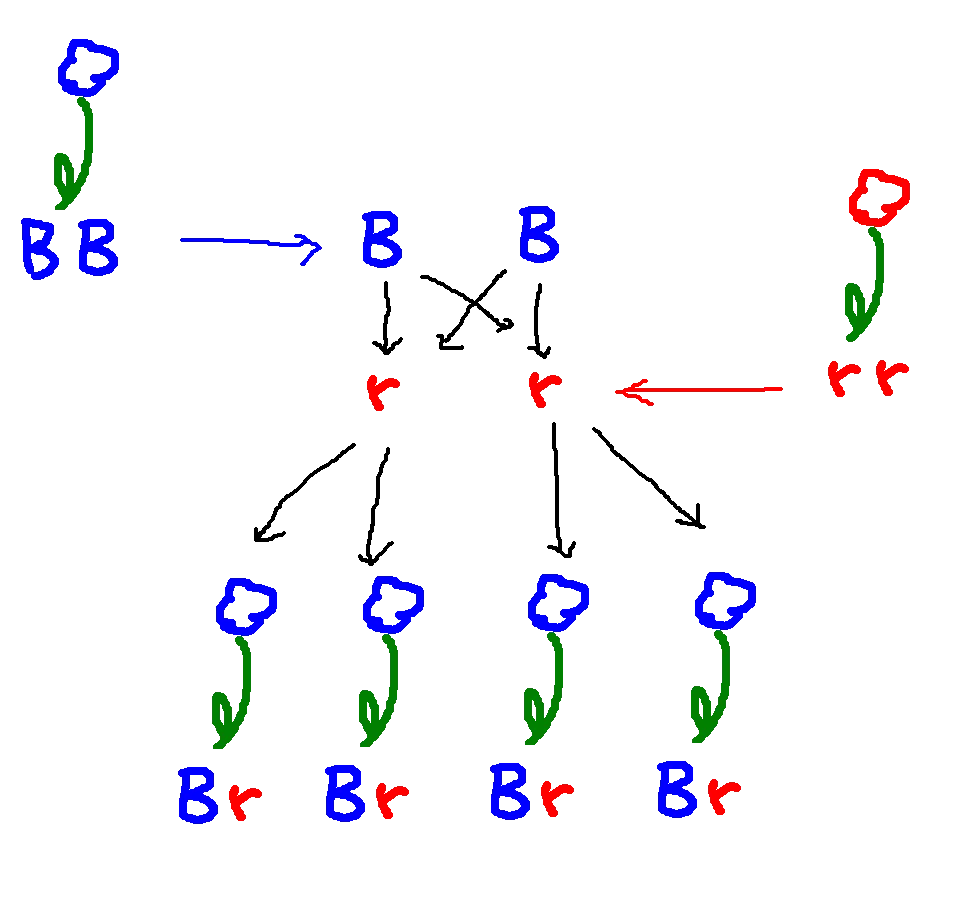 flower3.png