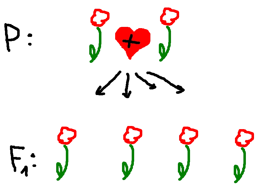 flowers2.png