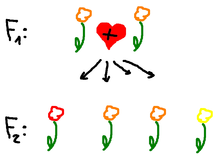 flowers2.png