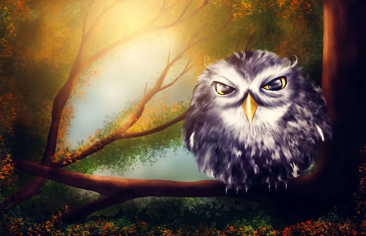 owl-gab20fb04b_1920.jpg
