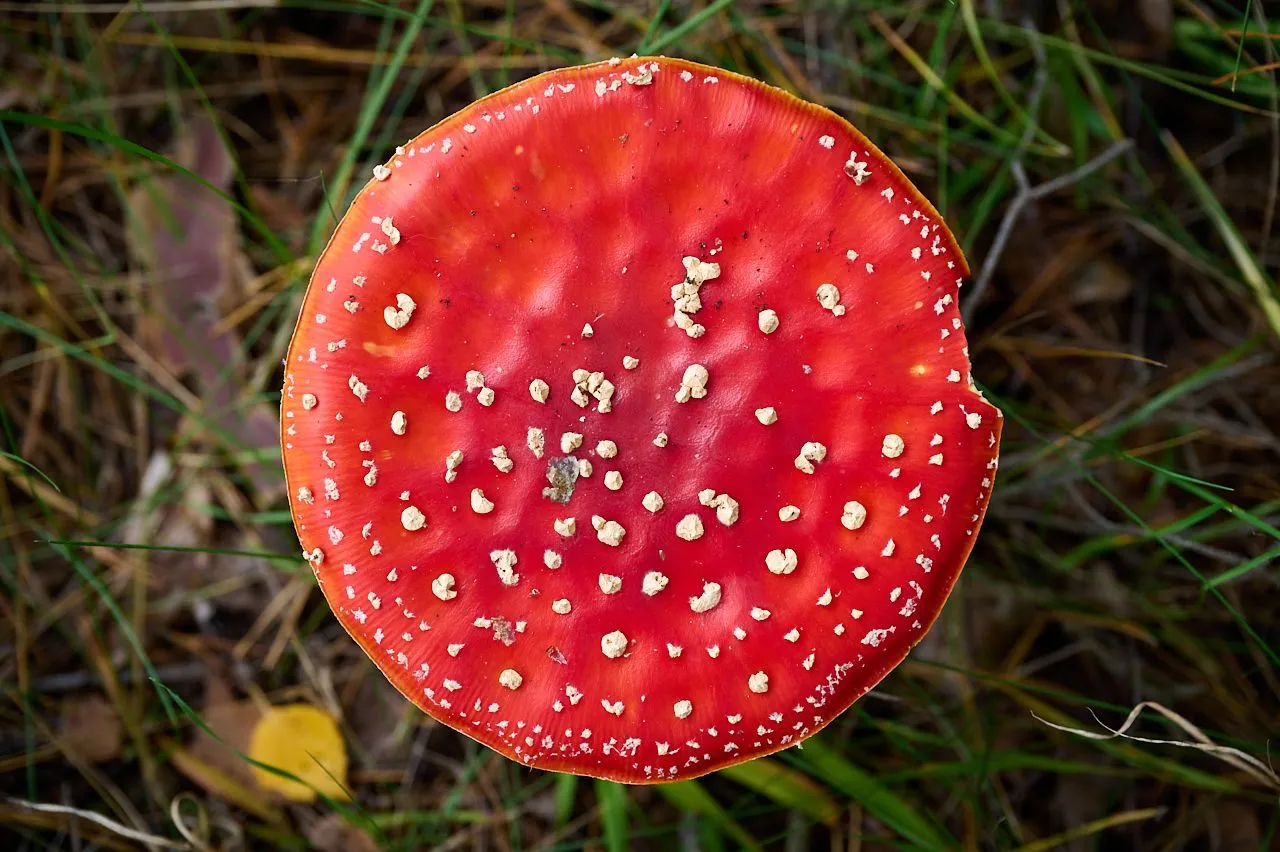 fotofun-RSP_7342.jpg