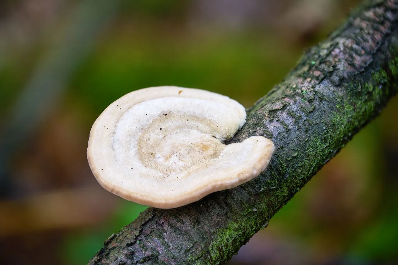 fotofun-RSP_6998.jpg
