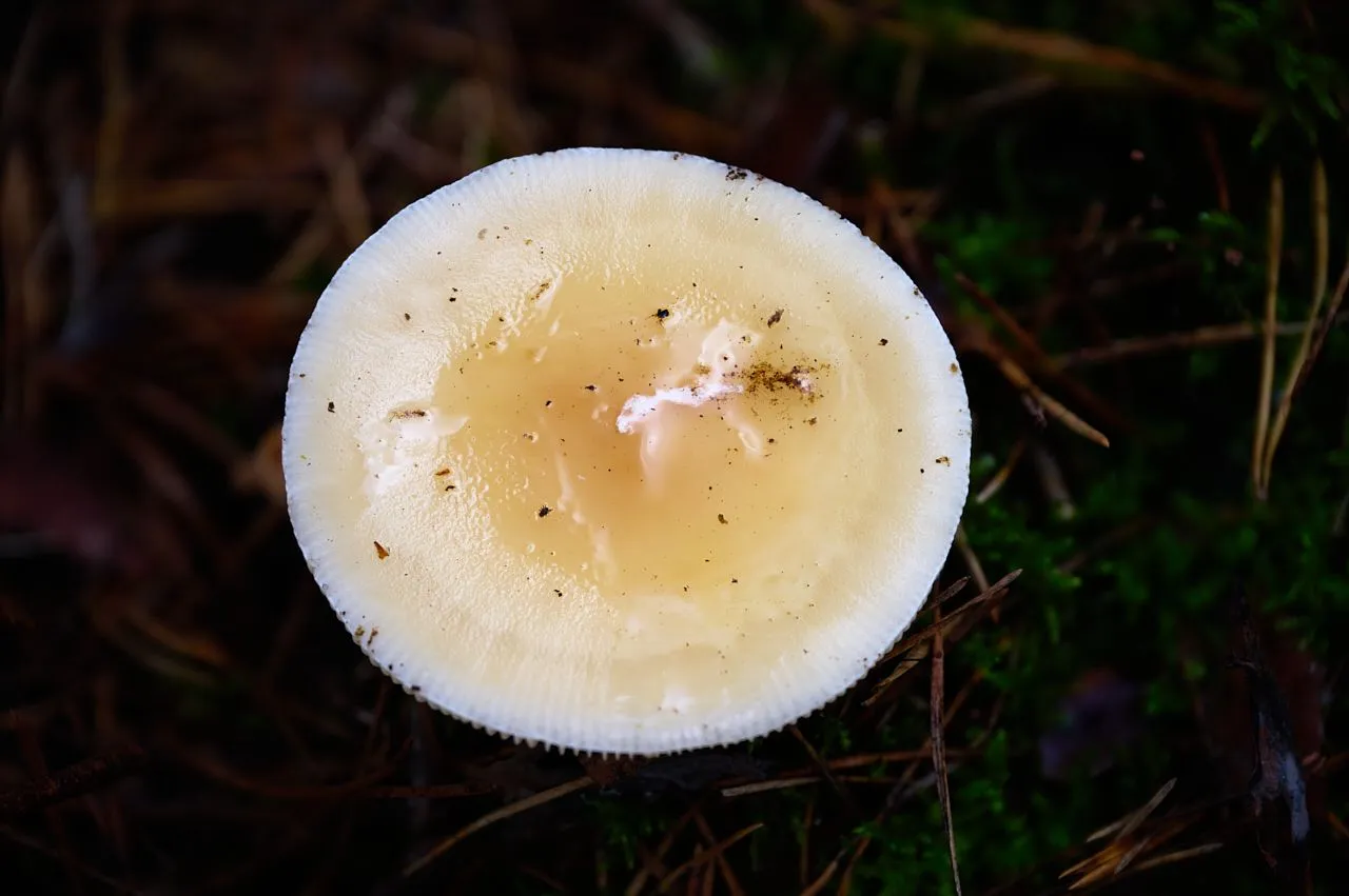 fotofun-RSP_7088.jpg