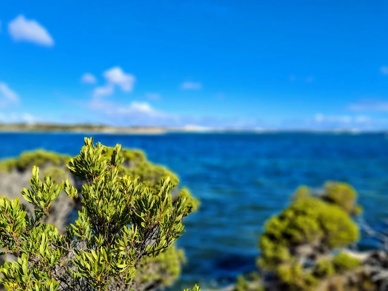 20210503_134655.jpg