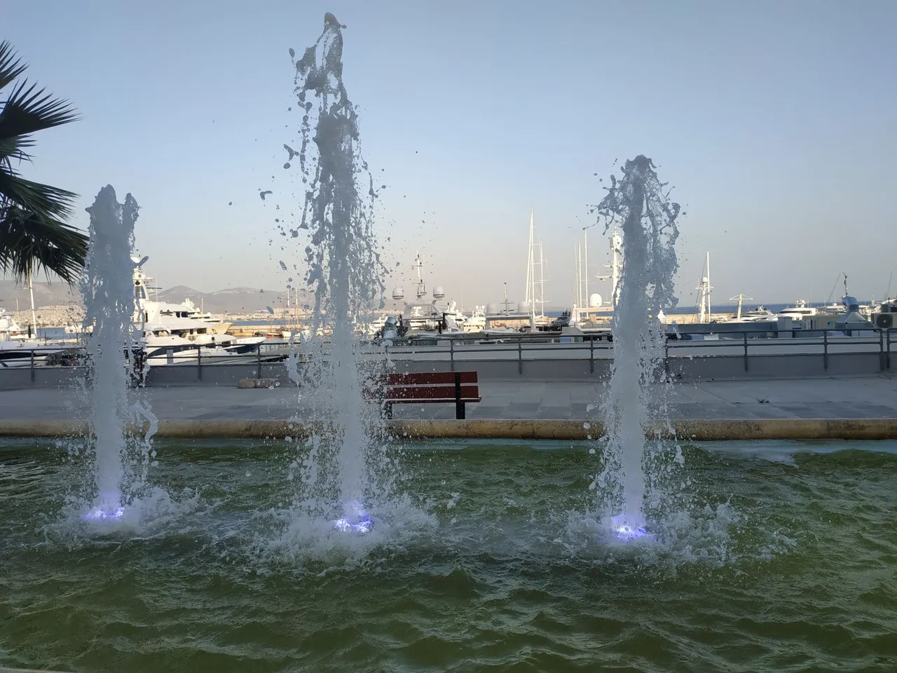 IMG_20210627_194505.jpg
