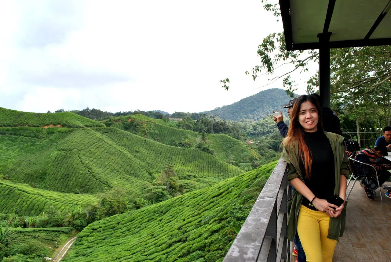 SDD - Cameron Highlands (4).jpg