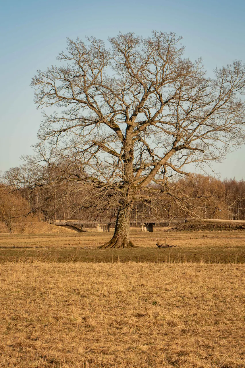 DSC_0069.JPG