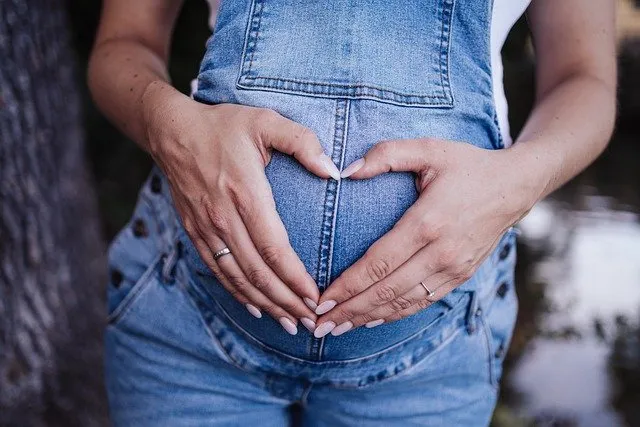pregnancy-g1ae60ee3d_640.jpg