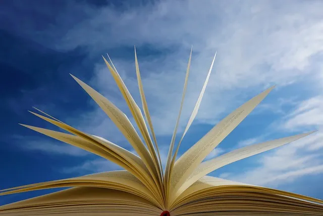a-book-geef7aef20_640.jpg