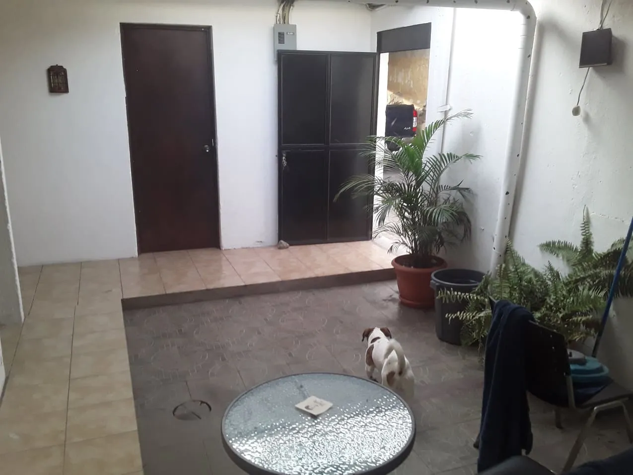 Patio.jpeg