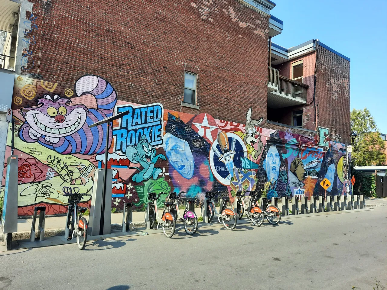 461 - Benny Wilding sur Mont Royal.jpg