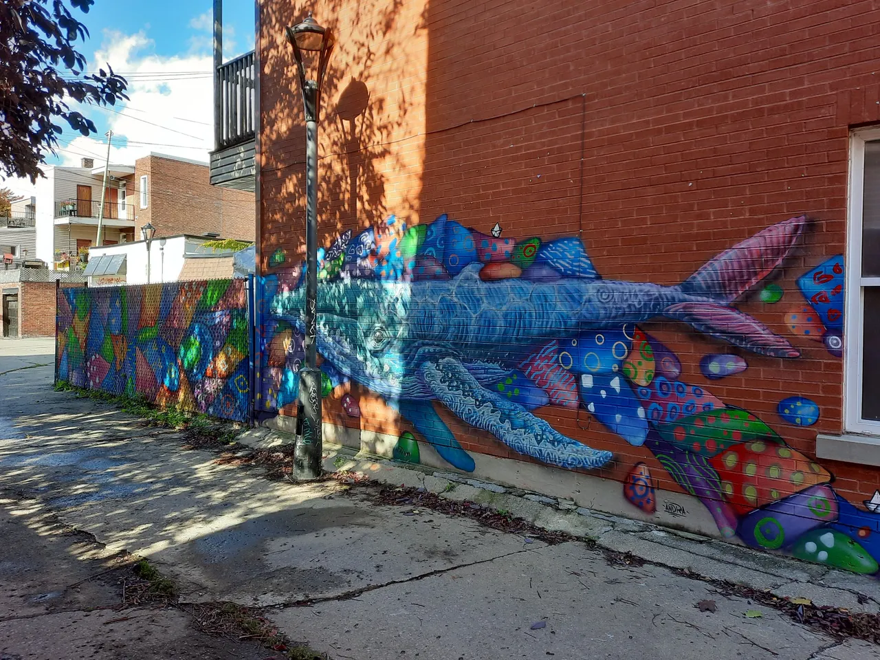 516 - Aldarwin ruelle Ste Kat.jpg