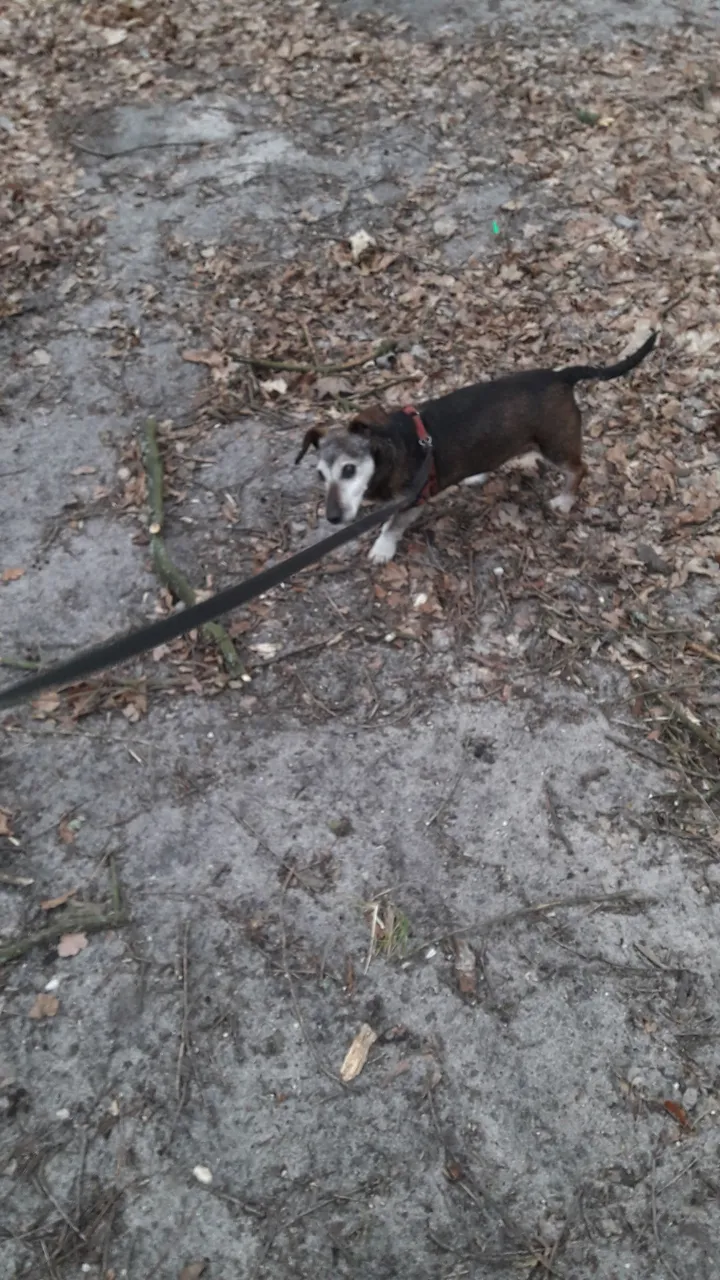 20220130_125202.jpg