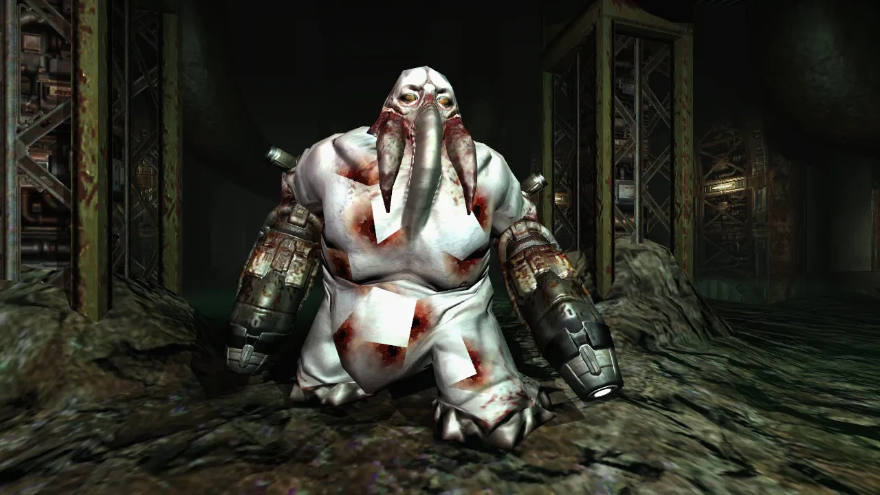 d6.jpg