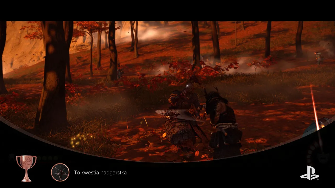 182d160493f24-screenshotUrl.jpg