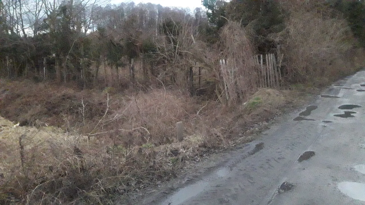 20220205_123943.jpg