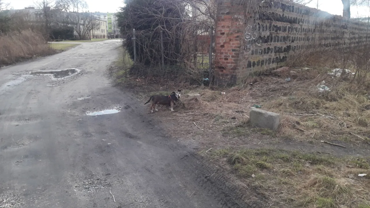 20220205_123044.jpg