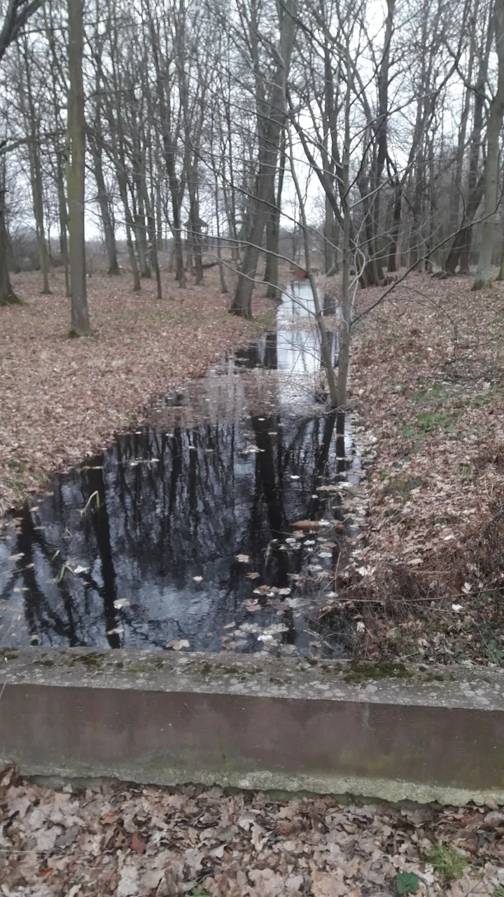 20220130_124706.jpg