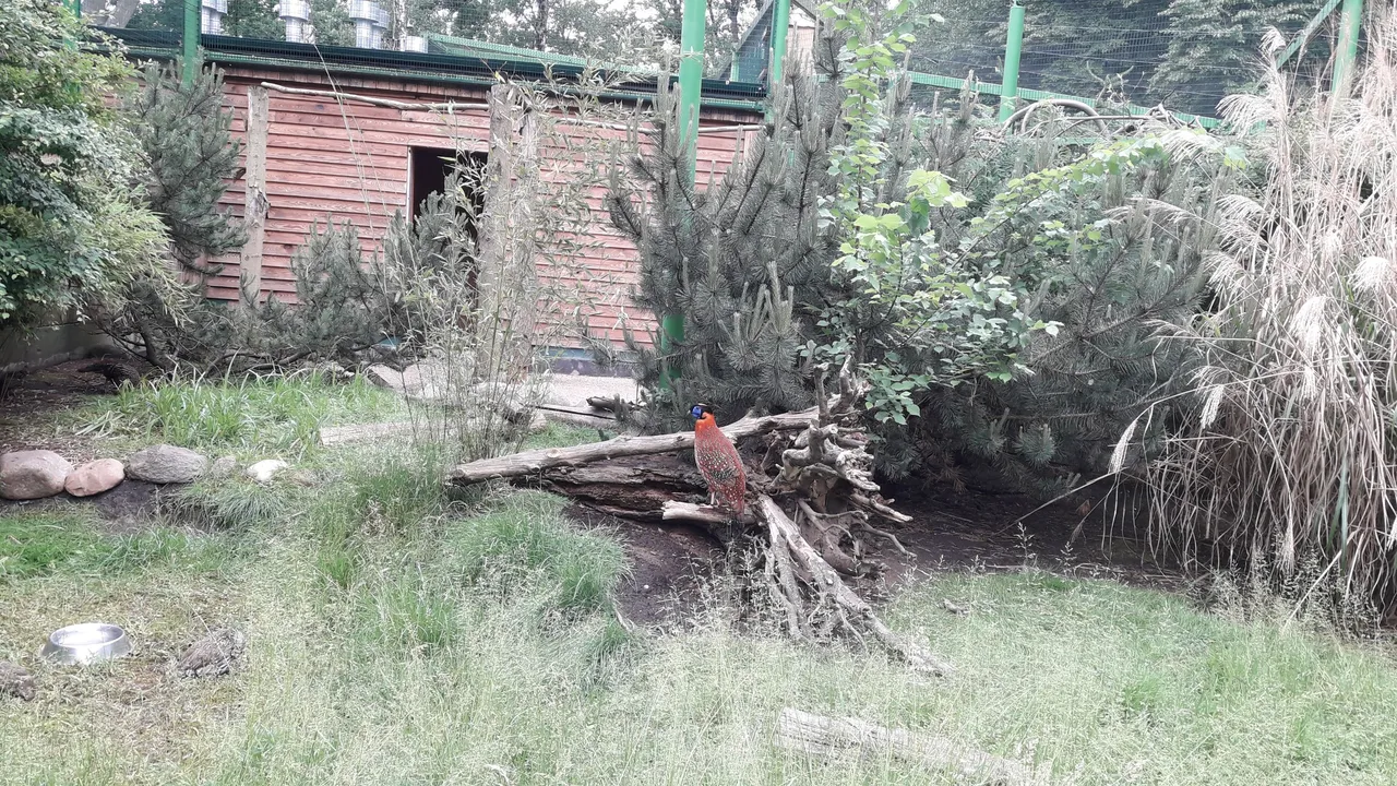 20210612_144753.jpg