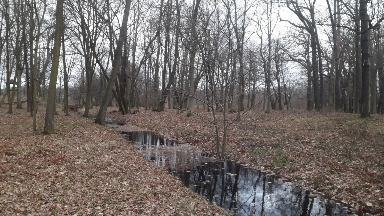 20220130_124718.jpg