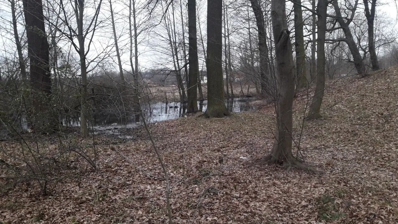 20220130_125108.jpg