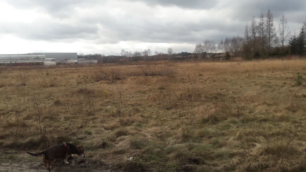 20220205_123208.jpg