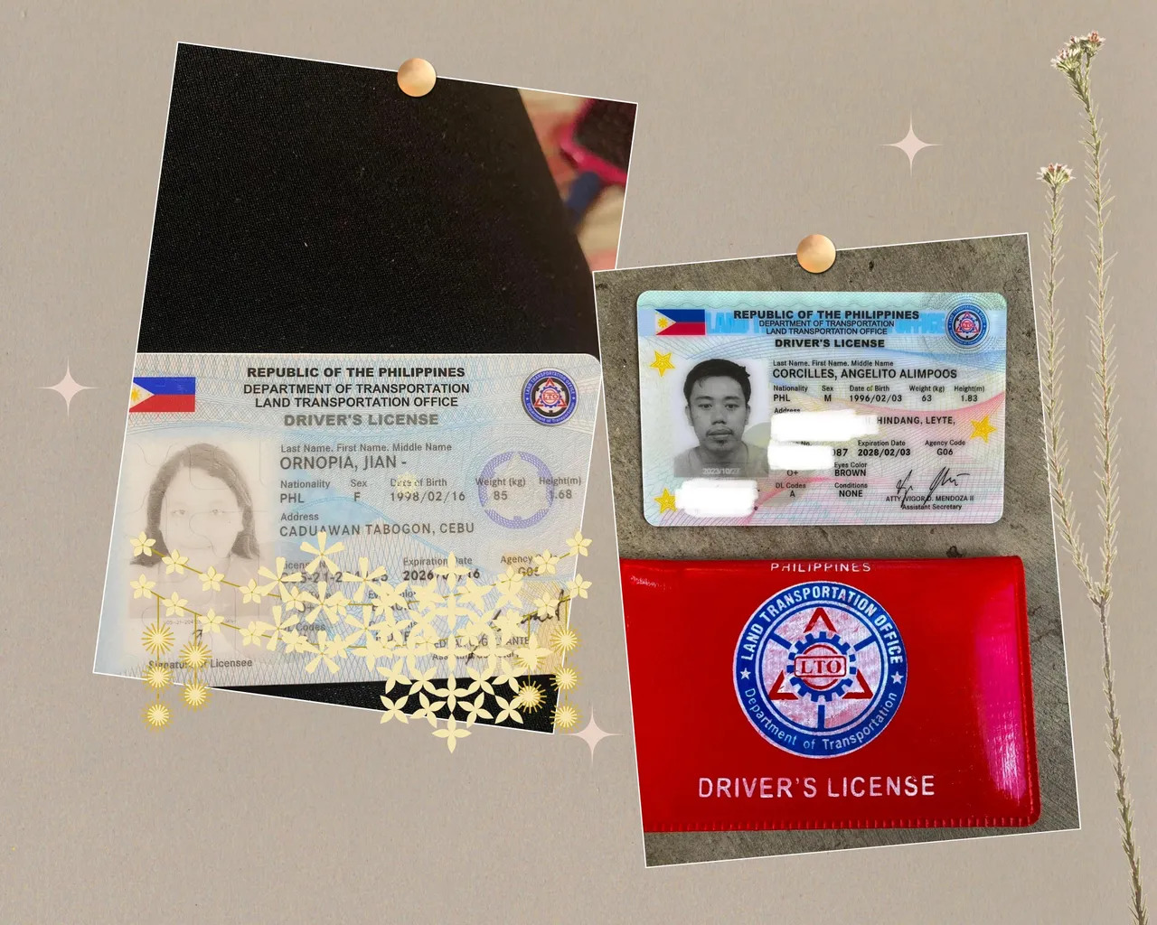 EAE6D8CA-FA62-4397-95A0-DFA3885EFE94.png