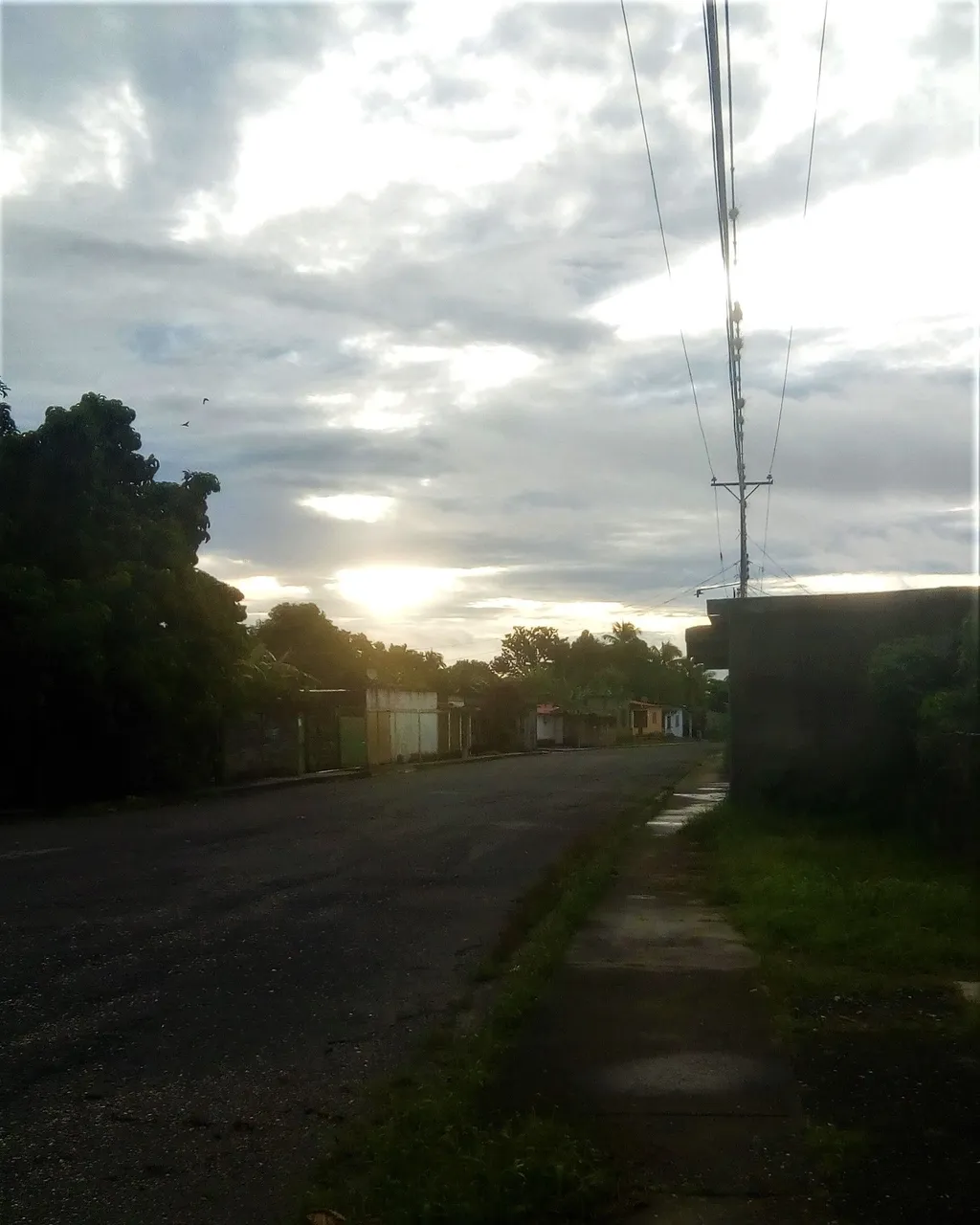 IMG_20221104_063432.jpg