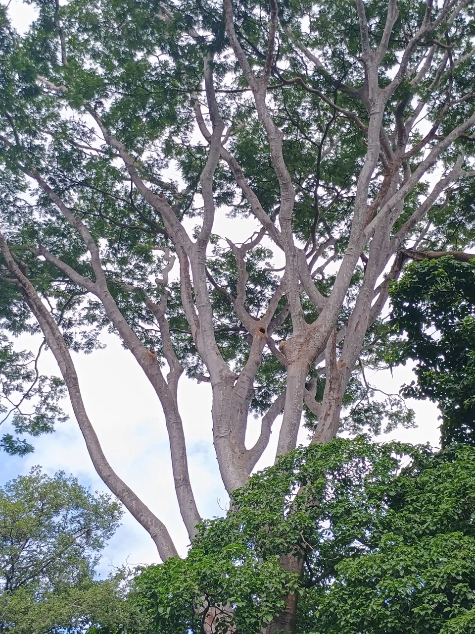 1000387845.jpg