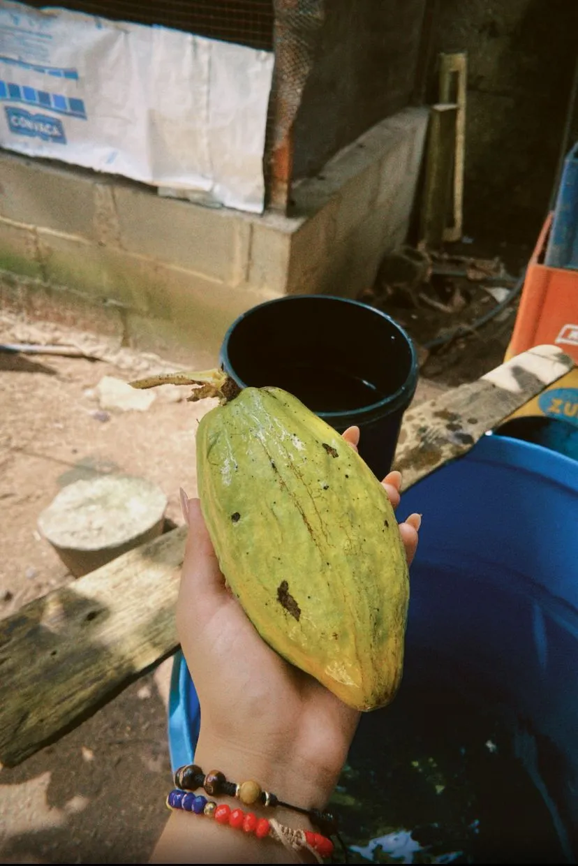 1000411813.jpg