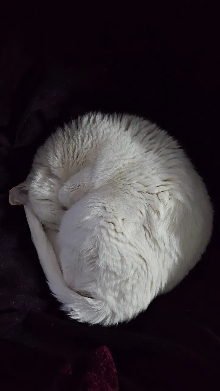 20250524_212309.jpg