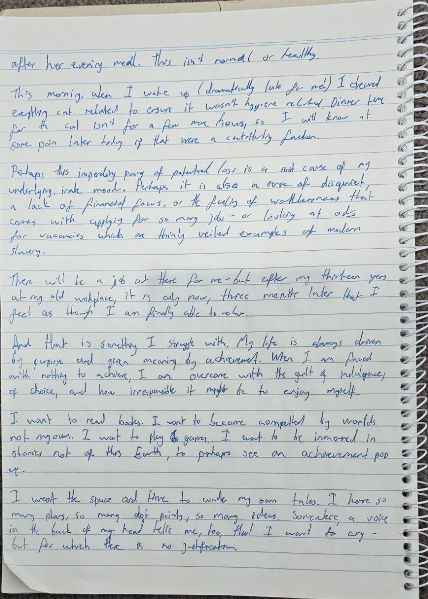 20250727_162052.jpg