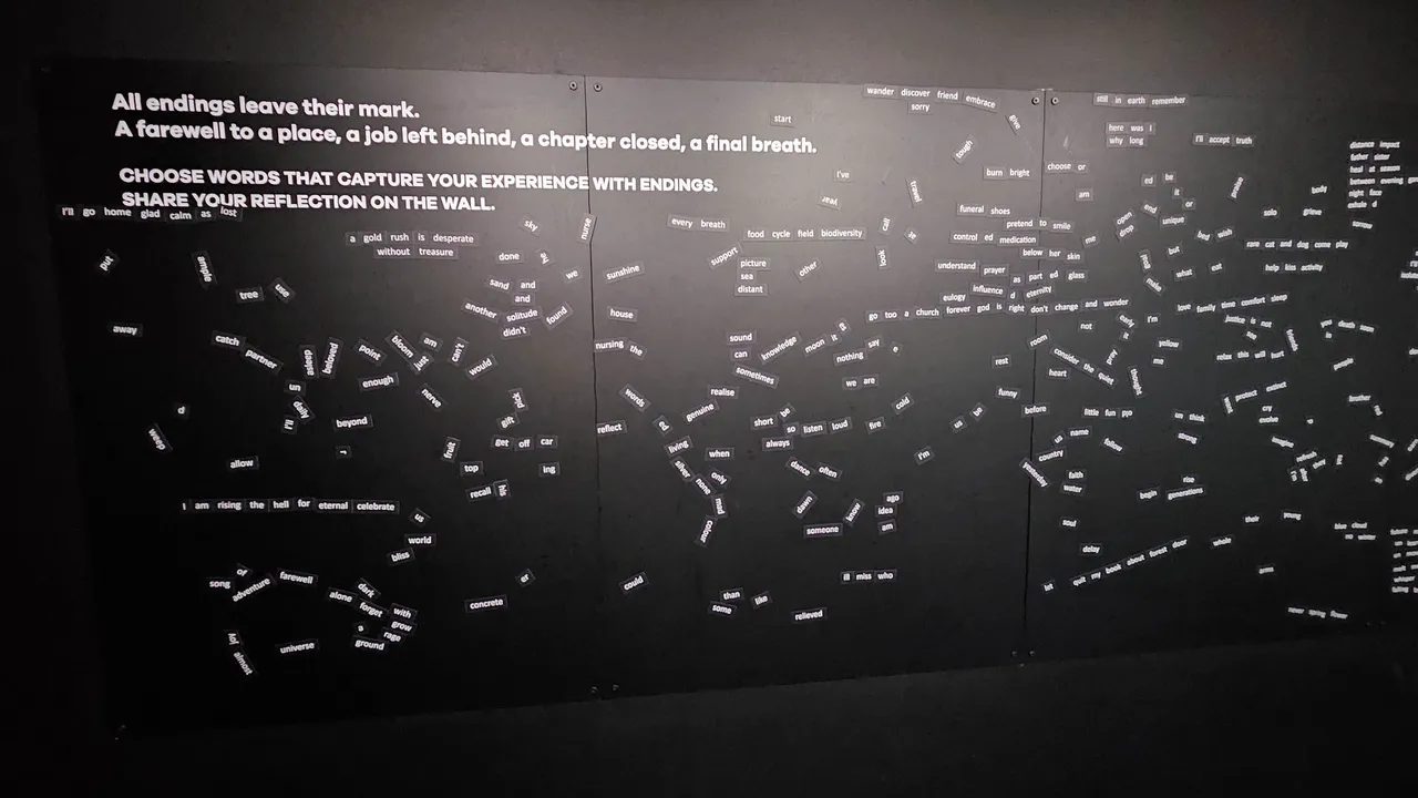 20250315_112741.jpg
