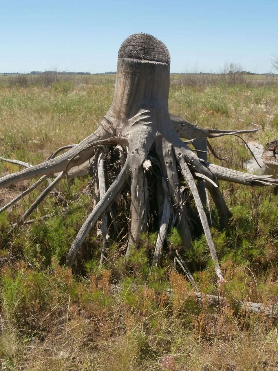 88.-P2090207.JPG