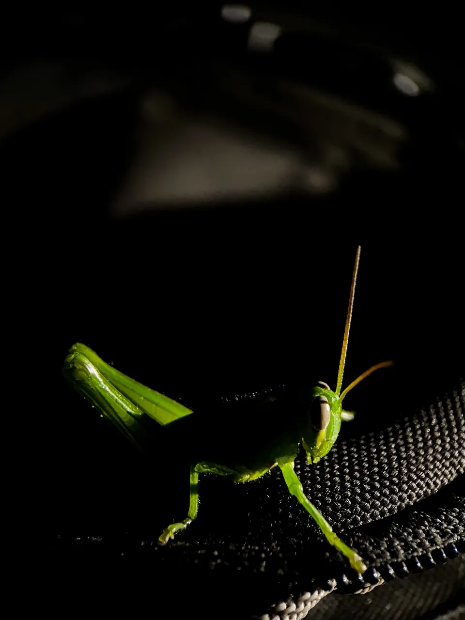 F36BA1C2-E546-4CB6-AE6A-12EF3FD5A571.jpeg