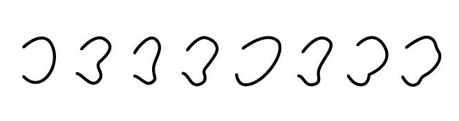 Oreja-7.jpg