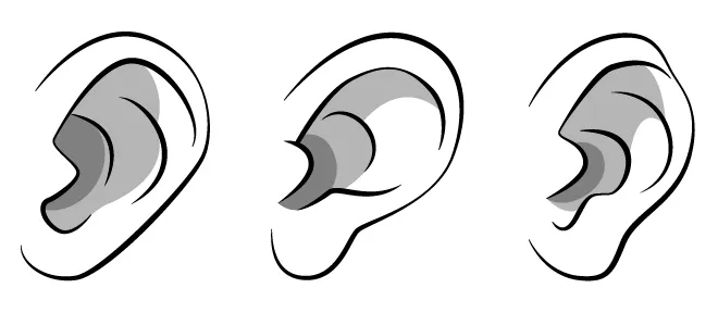 Oreja-5.jpg