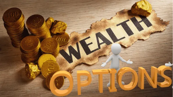 Wealth is about having a lot of options.png