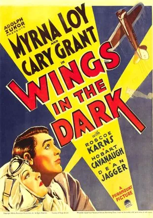 wings in the dark.jpg