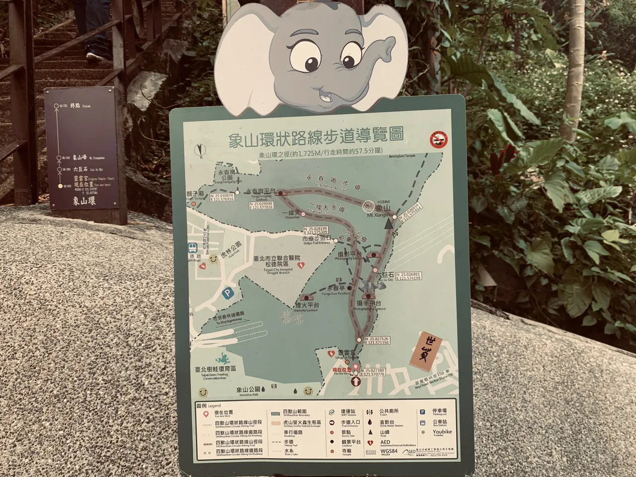 IMG_9382.jpeg