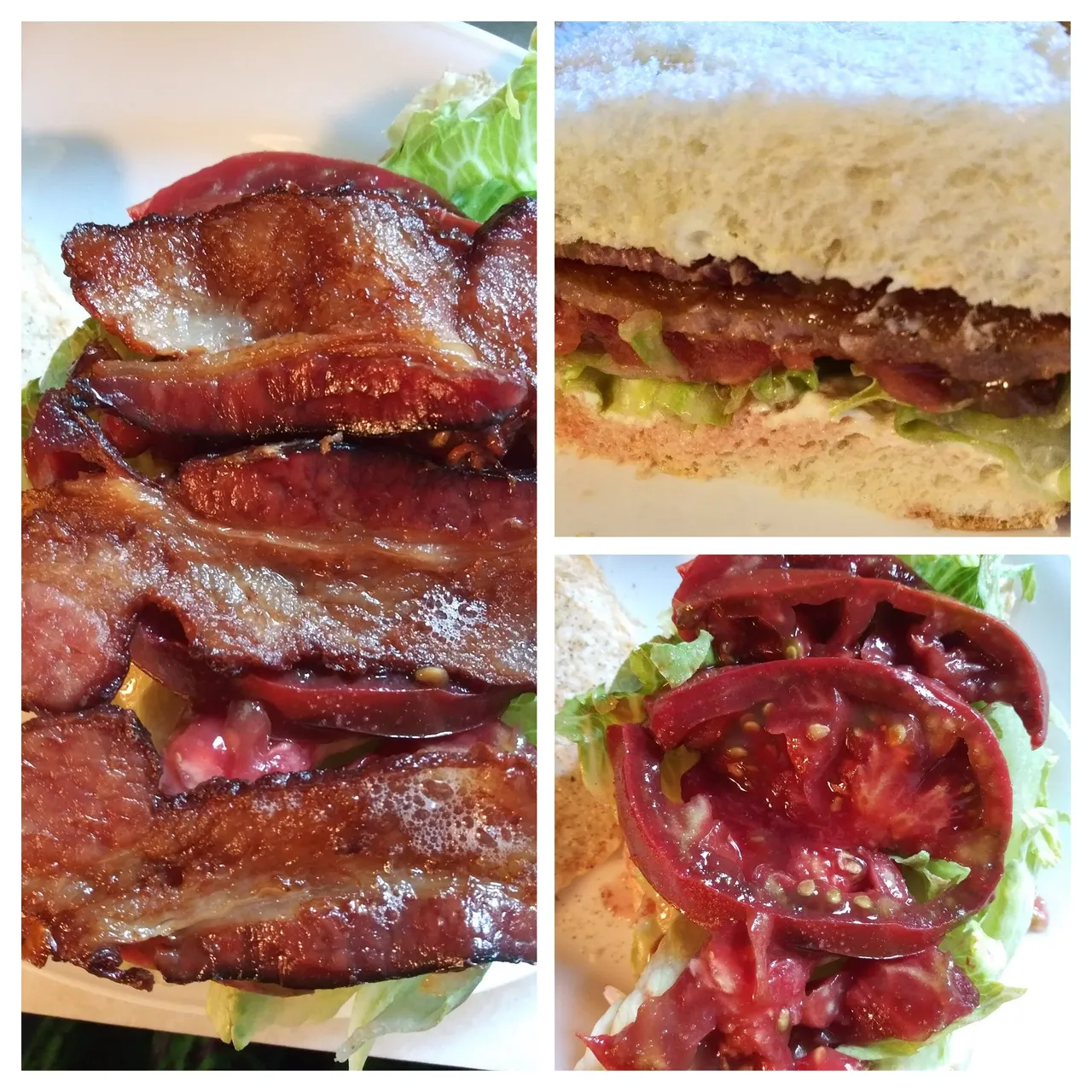 blt collage.jpg