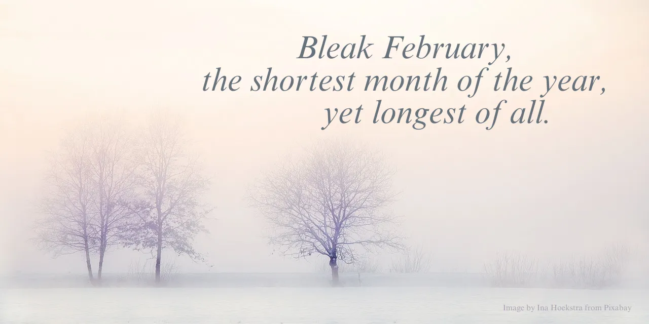 February Haiku.png