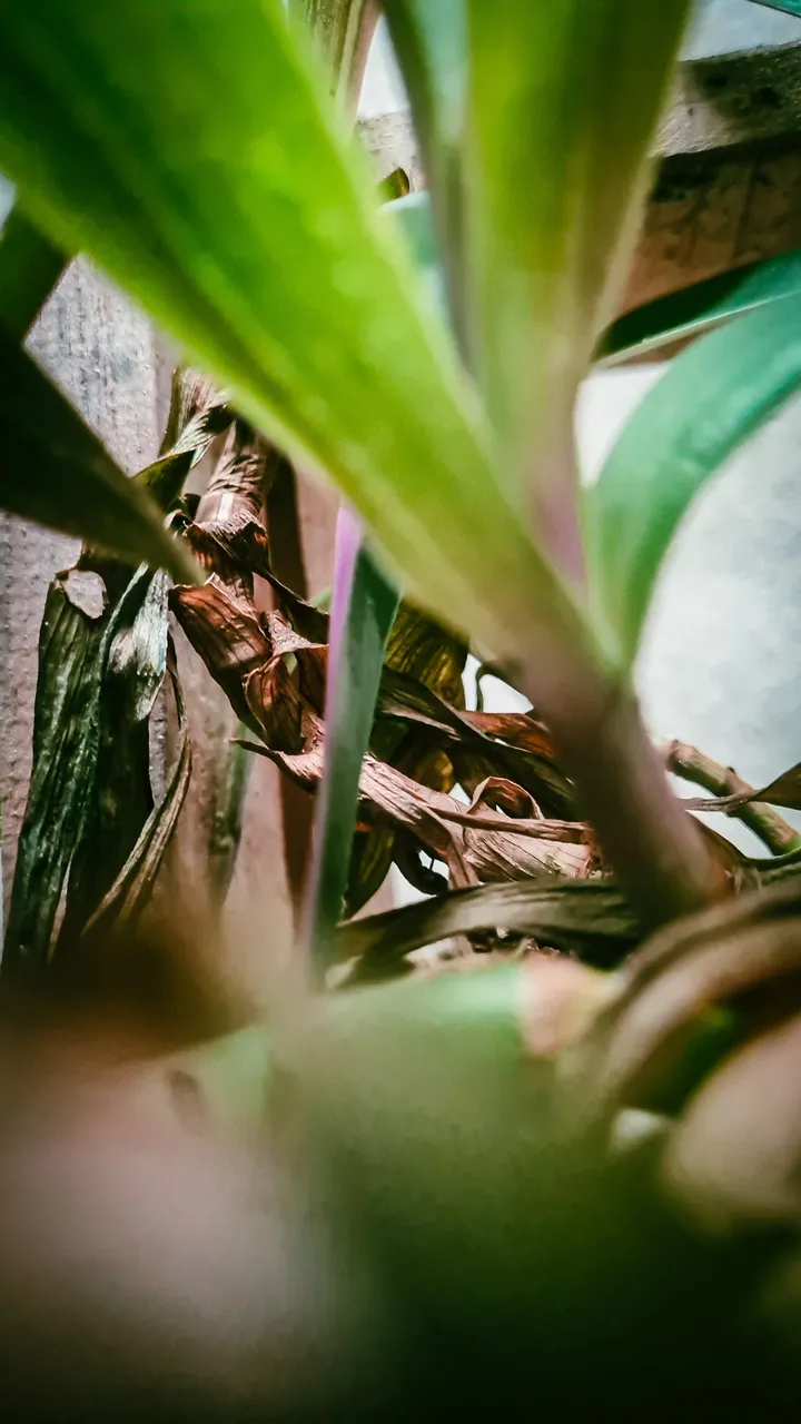 20230130_124543.jpg