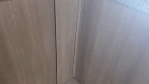 prank.gif